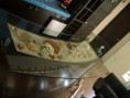 /album/fotogaleria-inicio/a416793-230445610384740-1341740820-n-jpg/
